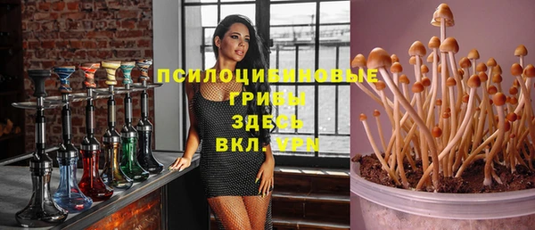 MDMA Premium VHQ Алексеевка