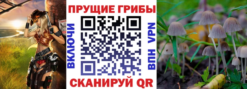 Галлюциногенные грибы прущие грибы  Купить закладки  Чита 